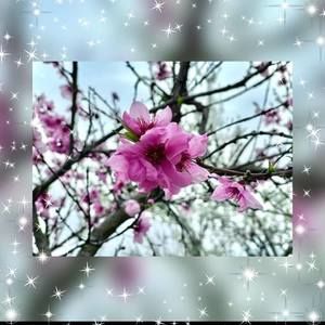 Meet your Posher, Marisol